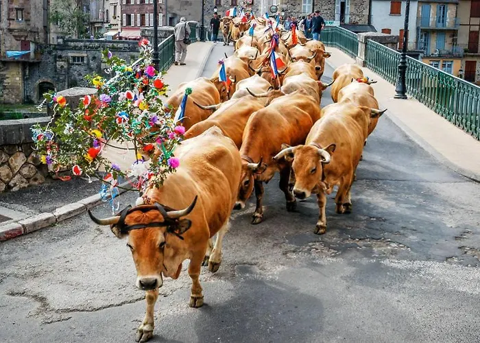 T2 3 Etoiles St Geniez D'olt 2 Piscines Chauffees 75 Apartment *