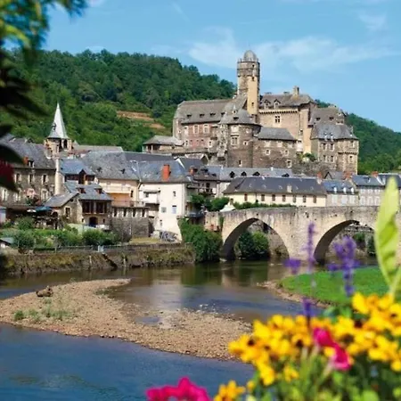 T2 3 Etoiles St Geniez D'olt 1 Piscines 75 Pierrefiche (Aveyron)