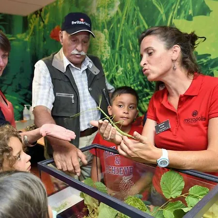 T2 3 étoiles St Geniez D'olt 2 Piscines Chauffées *