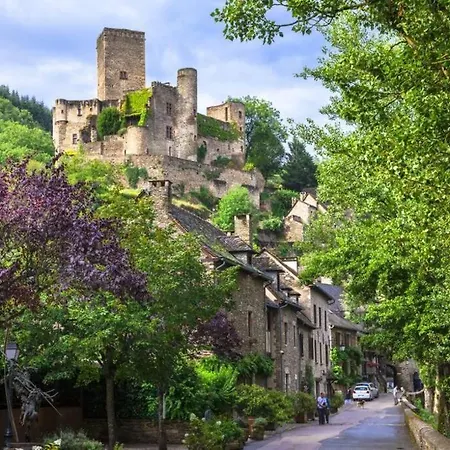 T2 3 étoiles St Geniez D'olt 2 Piscines Chauffées Pierrefiche (Aveyron)