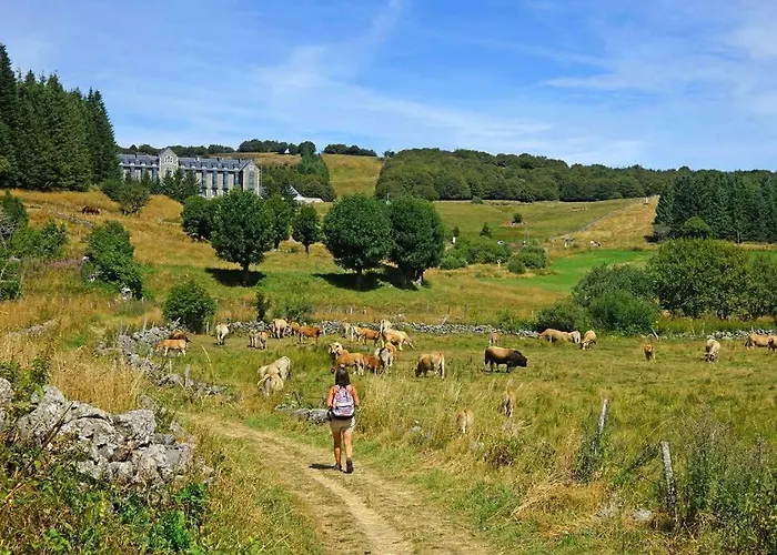T2 3 étoiles St Geniez D'olt 2 Piscines Chauffées