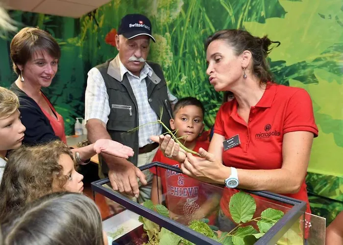 T2 3 Etoiles St Geniez D'olt 2 Piscines Chauffees 75 *